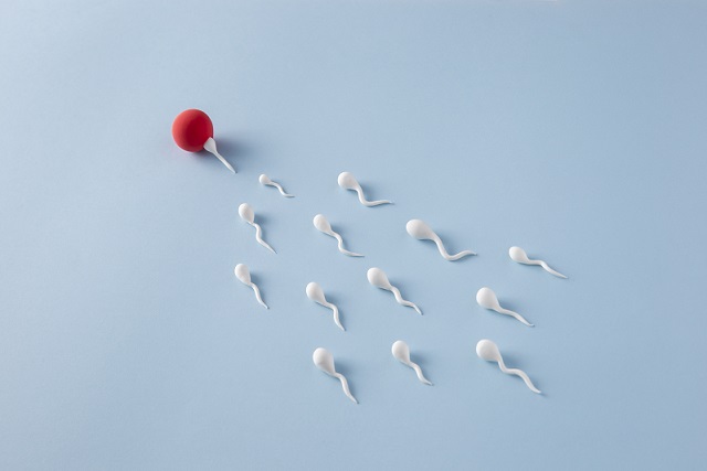 Causes of Low Sperm Count