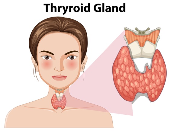 Thyroid Disorders