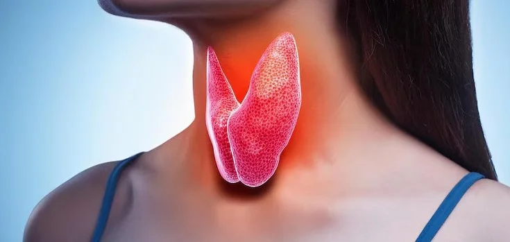 Ayurvedic Treatment For Thyroid In Afyonkarahisar