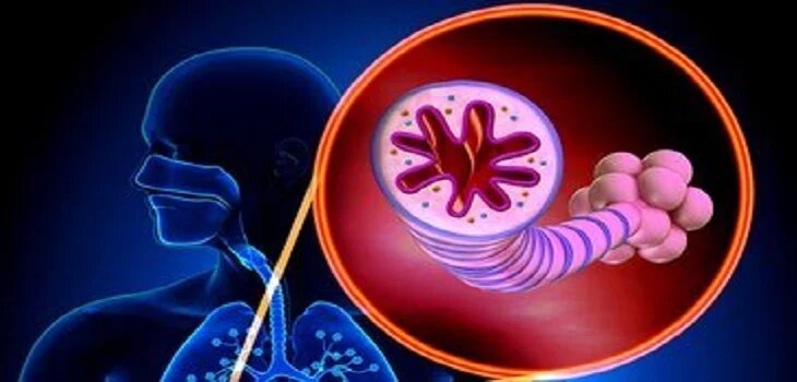 Ayurvedic Treatment for Asthma in Bhatpara