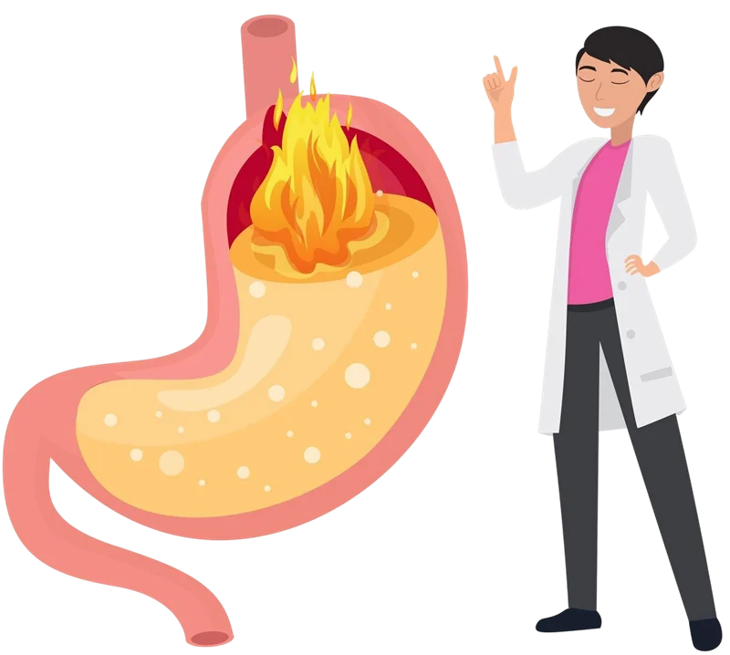 What are Digestive Problems? What is Digestion?