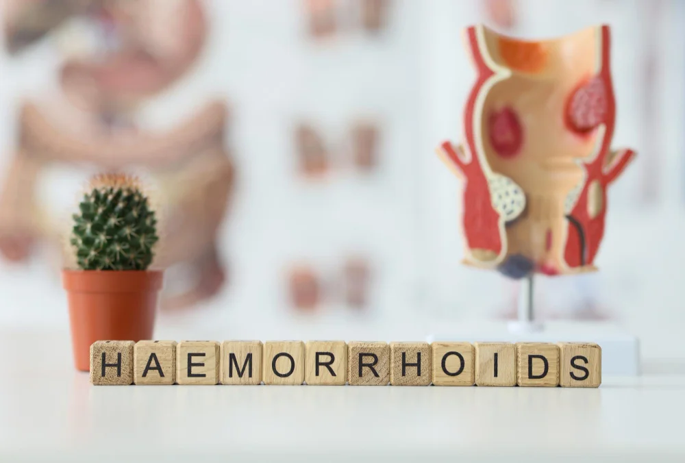 Ayurvedic treatment for Piles in Chhapra