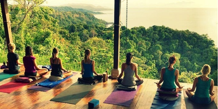 Rishikesh Diaries: Immerse Yourself in the Yoga Capital of the World - Yoga and Spiritual Practices in Rishikesh